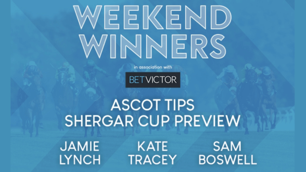 Tips taruhan Shergar Cup Sprint di Ascot